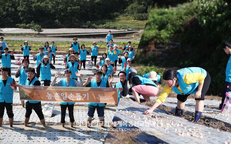 파일:대구남부 ASEZ WAO-마늘심기 일손돕기.jpg
