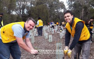 호주 시드니 ASEZ-산림정화 나무심기운동.jpg