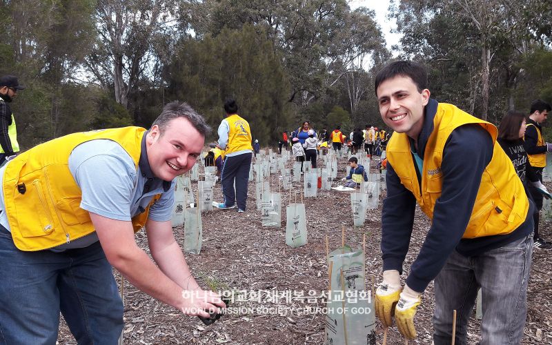 파일:호주 시드니 ASEZ-산림정화 나무심기운동.jpg