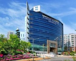 새예루살렘 판교성전3.jpg