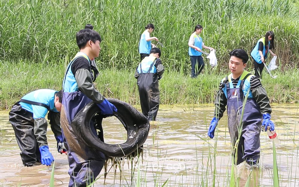 ASEZ-삼락생태공원 삼락습지생태원 정화