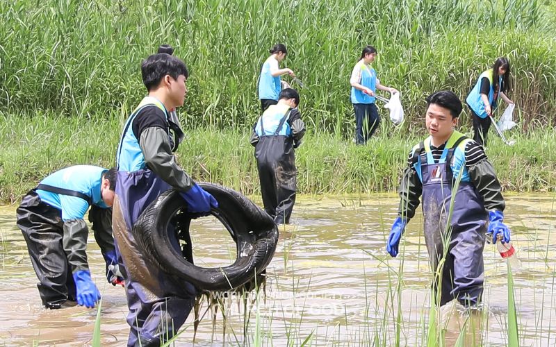 파일:ASEZ-블루카본 생태계 정화활동-삼락생태공원.jpg