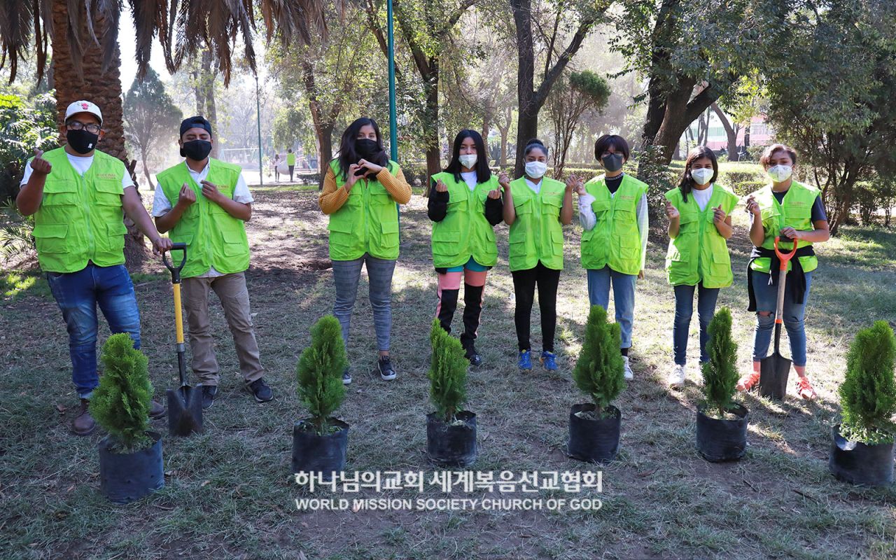 ASEZ WAO의 Mother's Forest 프로젝트(하르딘델수르 공원)