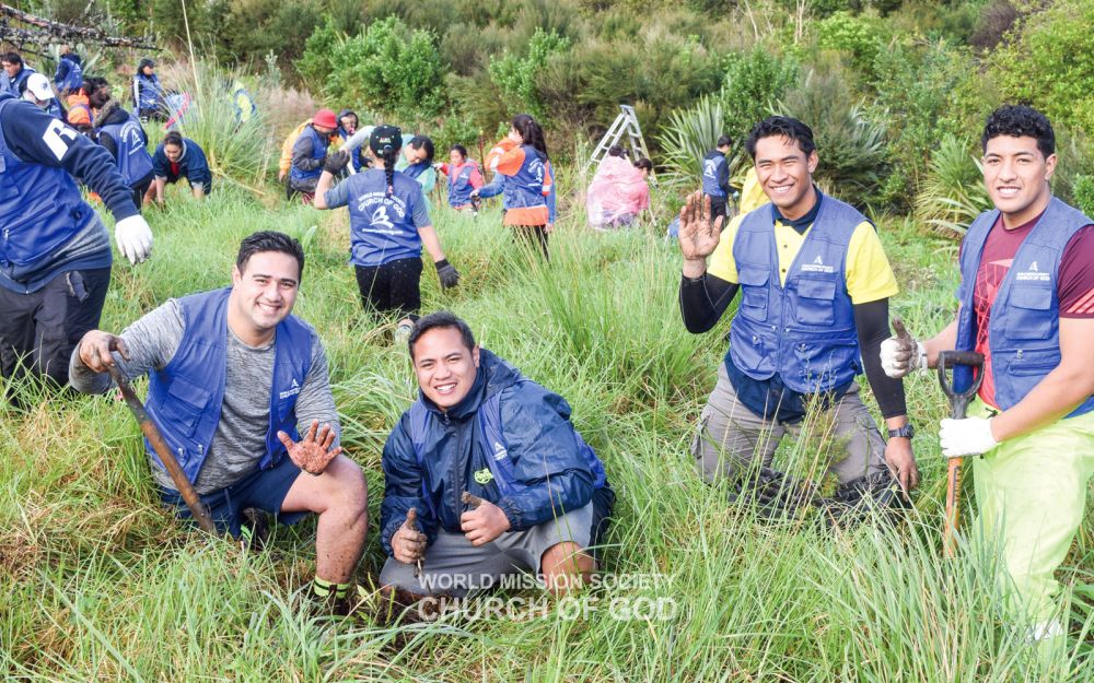 Tree planting in Titan Place, Auckland, New Zealand