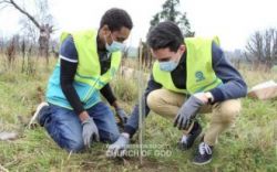 ASEZ WAO Mother's Forest 영국 런던2.jpg