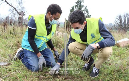 Mother's Forest(영국 런던)