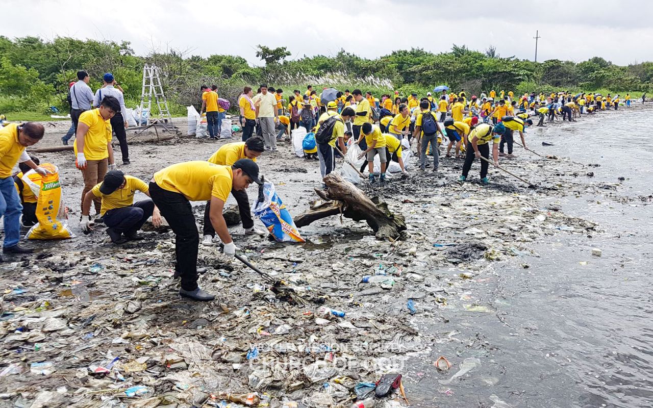 ASEZ WAO-프리덤아일랜드 해변 정화