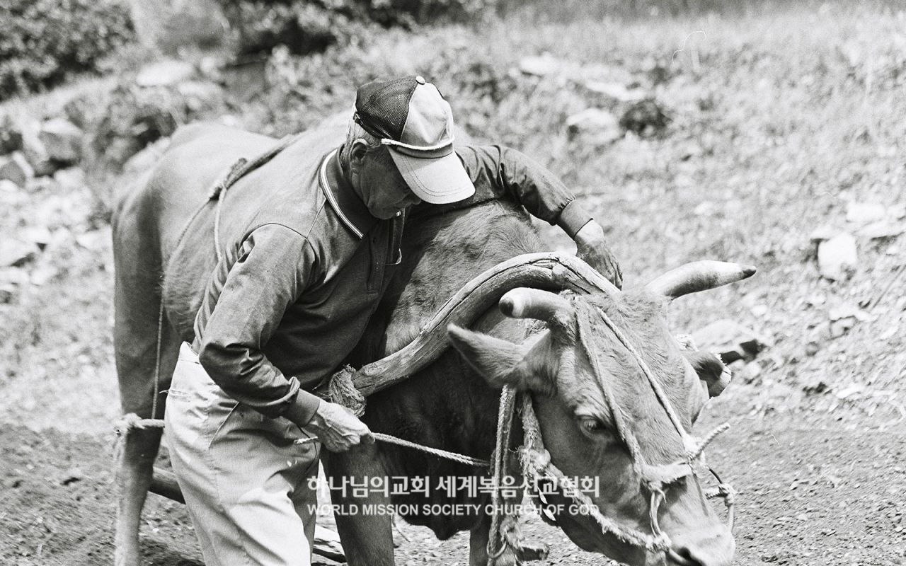 '진심, 아버지를 읽다'전 작품 〈기경〉