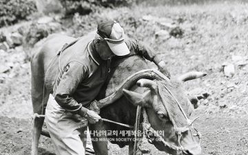 '진심, 아버지를 읽다'전 작품 <기경>