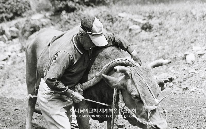 파일:기경 멜기세덱출판사.jpg