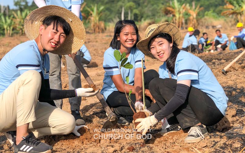 파일:캄보디아 시엠립 캐슈넛나무묘목심기 190714.jpg