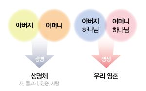 영혼의 부모님으로부터 생명 얻음.jpg