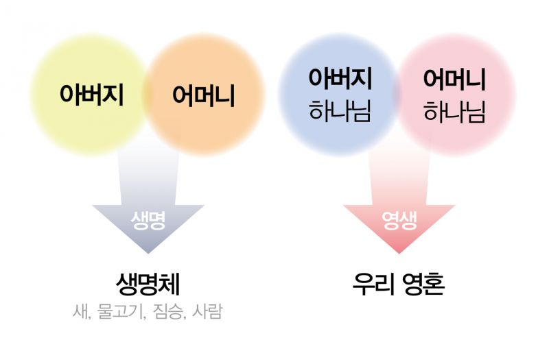 파일:영혼의 부모님으로부터 생명 얻음.jpg