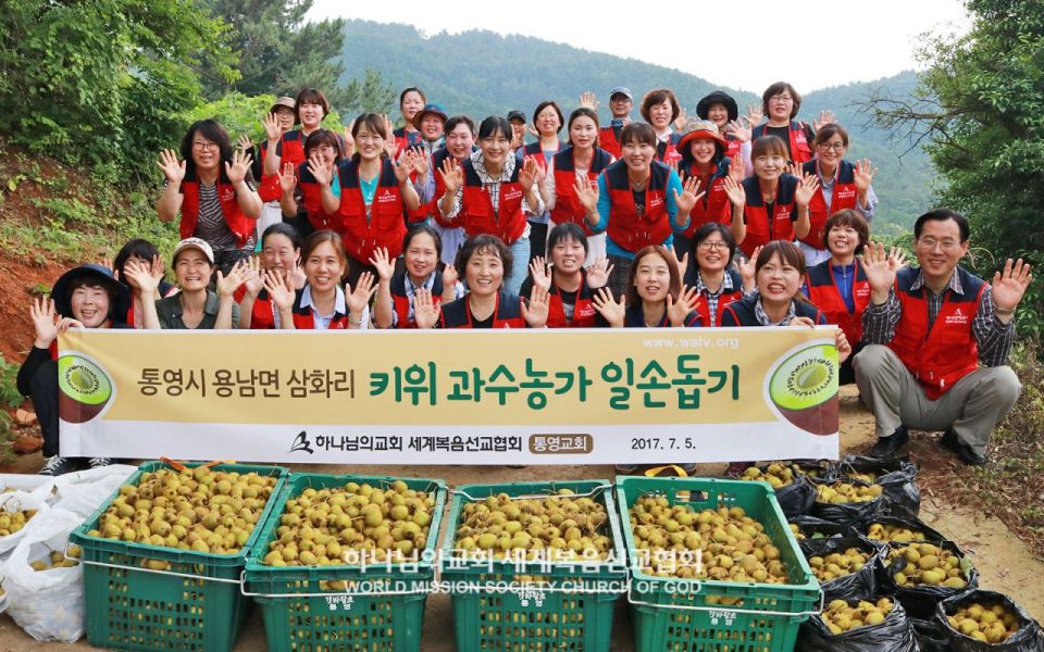 파일:통영 하나님의 교회-키위수확 농촌일손돕기.jpg