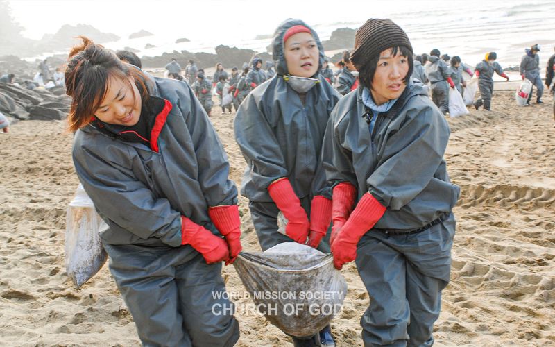 파일:태안앞바다 기름유출 방제활동-학암포 071220.jpg