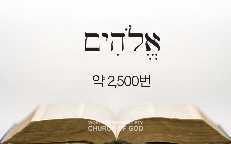 파일:엘로힘-2500회-기록.jpg