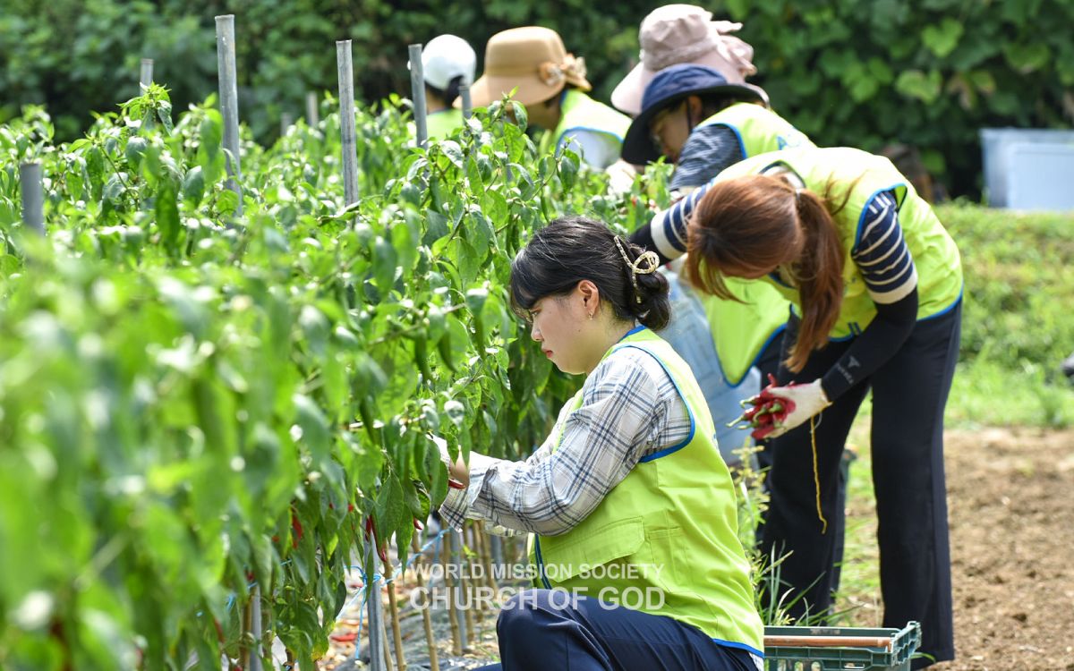 농촌일손돕기(사천시 축동면)