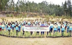 ASEZ WAO Mother's Forest 페루 우앙카요.jpg