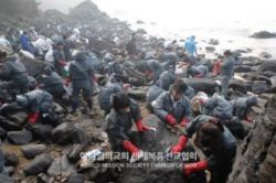 태안 기름 유출사고 방제작업.jpg