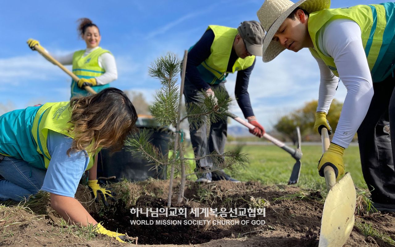 ASEZ WAO의 Mother's Forest 프로젝트(215 고속도로 출구 근처 공터)
