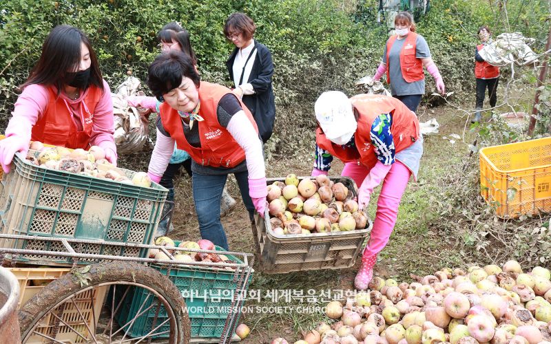 파일:하나님의 교회 경북동부연합회-태풍콩레이 수해복구.jpg