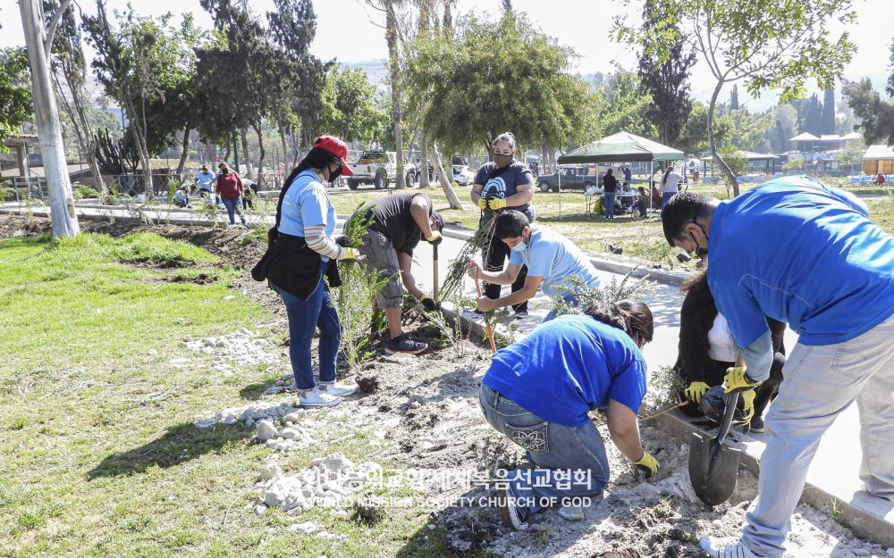 ASEZ WAO의 Mother's Forest 프로젝트(모렐로스 공원)