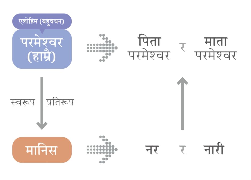 हामीले परमेश्वरको स्वरूपमा सृष्टि भएका मानिसलाई हेरेमा एलोहिम परमेश्वरको बारेमा बुझ्न सक्छौं ।